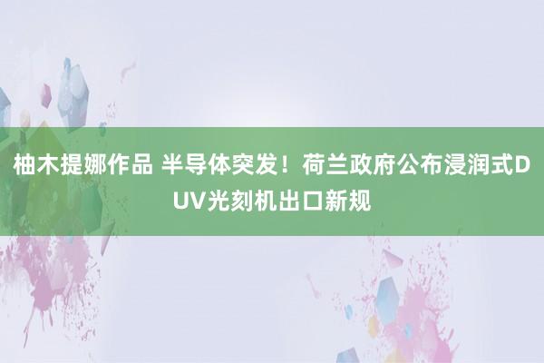 柚木提娜作品 半导体突发！荷兰政府公布浸润式DUV光刻机出口新规