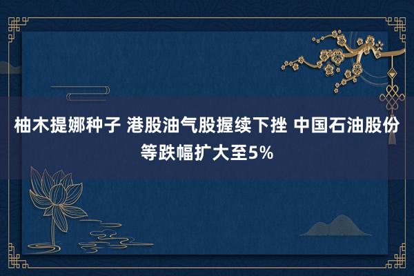 柚木提娜种子 港股油气股握续下挫 中国石油股份等跌幅扩大至5%