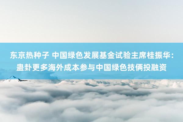 东京热种子 中国绿色发展基金试验主席桂振华：蛊卦更多海外成本参与中国绿色技俩投融资