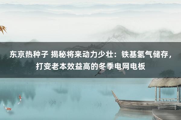 东京热种子 揭秘将来动力少壮：铁基氢气储存，打变老本效益高的冬季电网电板