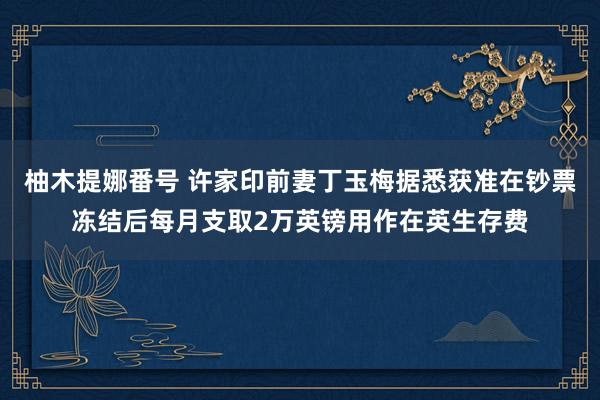 柚木提娜番号 许家印前妻丁玉梅据悉获准在钞票冻结后每月支取2万英镑用作在英生存费