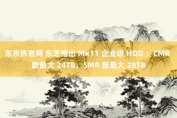 东京热官网 东芝推出 Mx11 企业级 HDD ：CMR 款最大 24TB，SMR 版最大 28TB