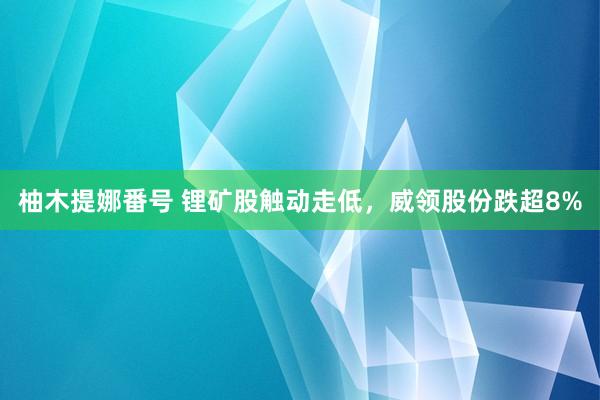 柚木提娜番号 锂矿股触动走低，威领股份跌超8%