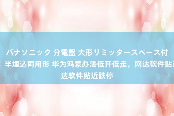 パナソニック 分電盤 大形リミッタースペース付 露出・半埋込両用形 华为鸿蒙办法低开低走，网达软件贴近跌停