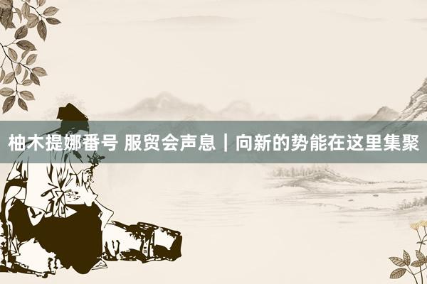 柚木提娜番号 服贸会声息｜向新的势能在这里集聚