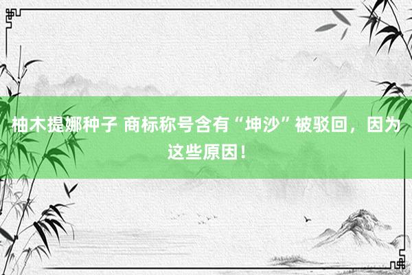 柚木提娜种子 商标称号含有“坤沙”被驳回，因为这些原因！