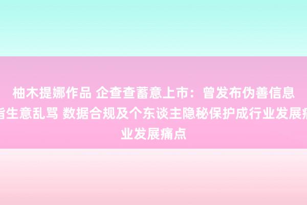 柚木提娜作品 企查查蓄意上市：曾发布伪善信息被指生意乱骂 数据合规及个东谈主隐秘保护成行业发展痛点