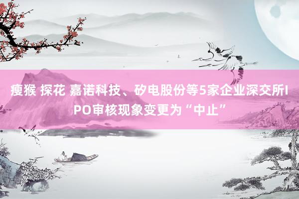 瘦猴 探花 嘉诺科技、矽电股份等5家企业深交所IPO审核现象变更为“中止”