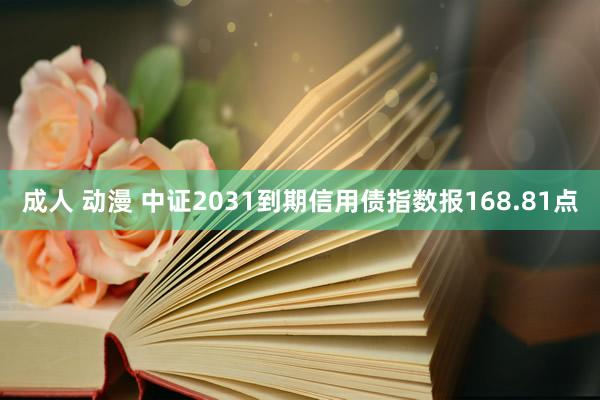 成人 动漫 中证2031到期信用债指数报168.81点