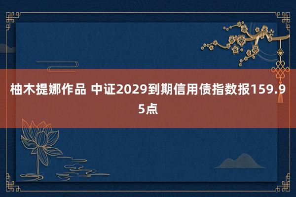 柚木提娜作品 中证2029到期信用债指数报159.95点