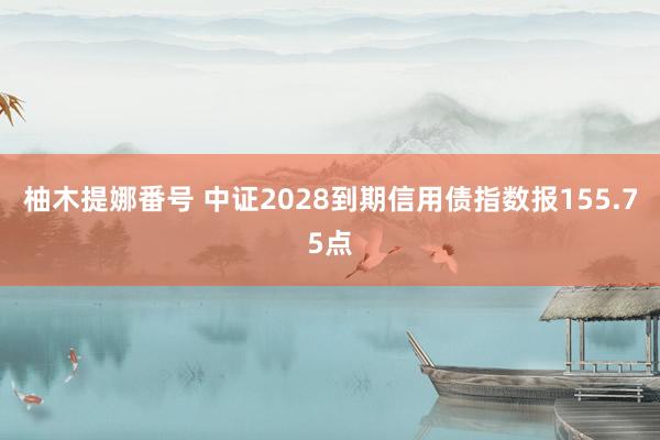 柚木提娜番号 中证2028到期信用债指数报155.75点