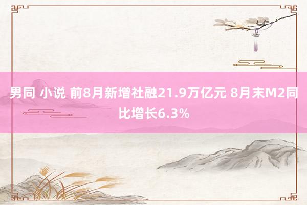 男同 小说 前8月新增社融21.9万亿元 8月末M2同比增长6.3%