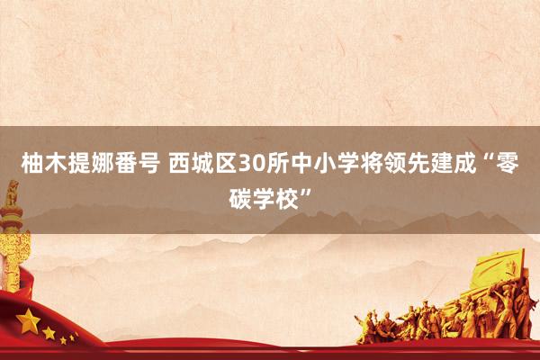 柚木提娜番号 西城区30所中小学将领先建成“零碳学校”