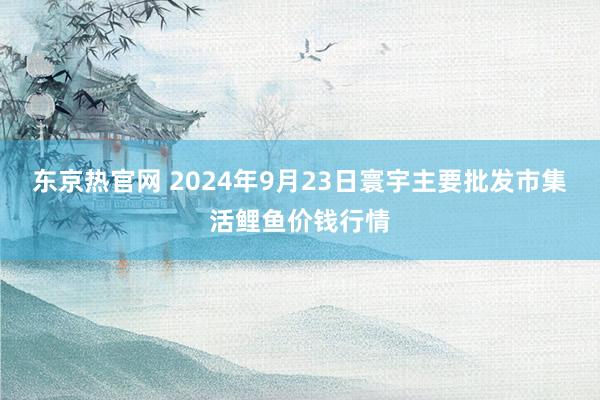 东京热官网 2024年9月23日寰宇主要批发市集活鲤鱼价钱行情