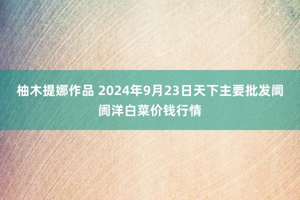 柚木提娜作品 2024年9月23日天下主要批发阛阓洋白菜价钱行情