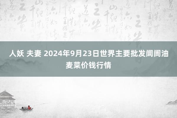 人妖 夫妻 2024年9月23日世界主要批发阛阓油麦菜价钱行情