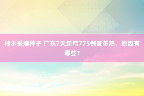 柚木提娜种子 广东7天新增775例登革热，原因有哪些？