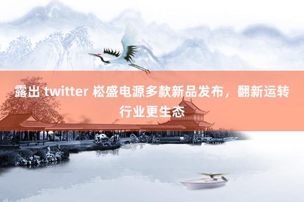 露出 twitter 崧盛电源多款新品发布，翻新运转行业更生态