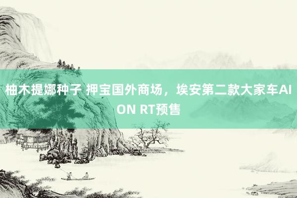 柚木提娜种子 押宝国外商场，埃安第二款大家车AION RT预售