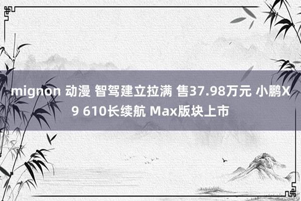 mignon 动漫 智驾建立拉满 售37.98万元 小鹏X9 610长续航 Max版块上市