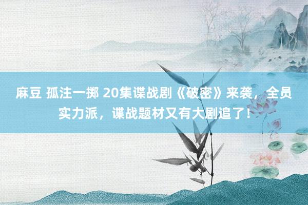 麻豆 孤注一掷 20集谍战剧《破密》来袭，全员实力派，谍战题材又有大剧追了！