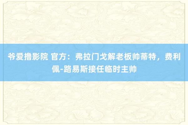 爷爱撸影院 官方：弗拉门戈解老板帅蒂特，费利佩-路易斯接任临时主帅