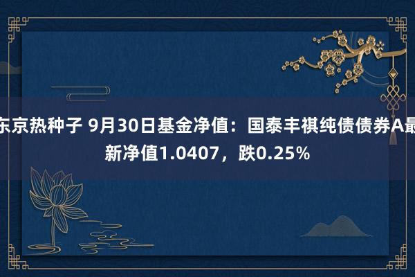 东京热种子 9月30日基金净值：国泰丰祺纯债债券A最新净值1.0407，跌0.25%