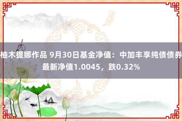 柚木提娜作品 9月30日基金净值：中加丰享纯债债券最新净值1.0045，跌0.32%