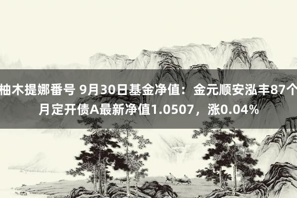 柚木提娜番号 9月30日基金净值：金元顺安泓丰87个月定开债A最新净值1.0507，涨0.04%