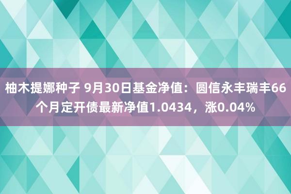 柚木提娜种子 9月30日基金净值：圆信永丰瑞丰66个月定开债最新净值1.0434，涨0.04%