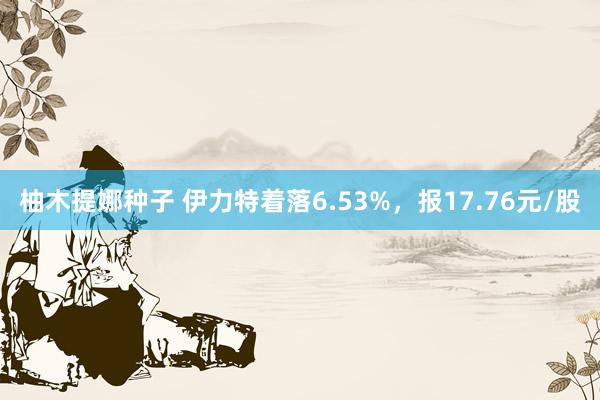 柚木提娜种子 伊力特着落6.53%，报17.76元/股