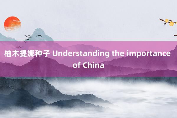 柚木提娜种子 Understanding the importance of China