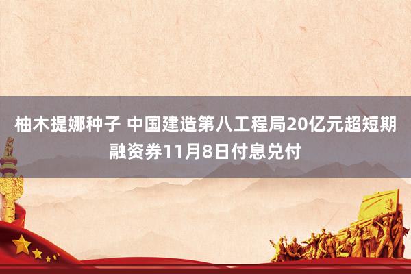 柚木提娜种子 中国建造第八工程局20亿元超短期融资券11月8日付息兑付