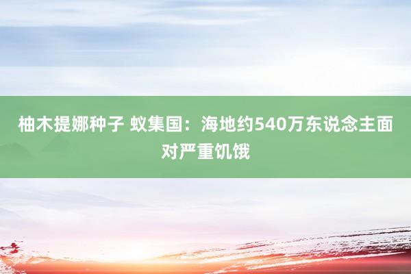 柚木提娜种子 蚁集国：海地约540万东说念主面对严重饥饿