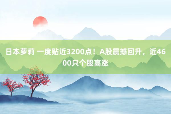 日本萝莉 一度贴近3200点！A股震撼回升，近4600只个股高涨