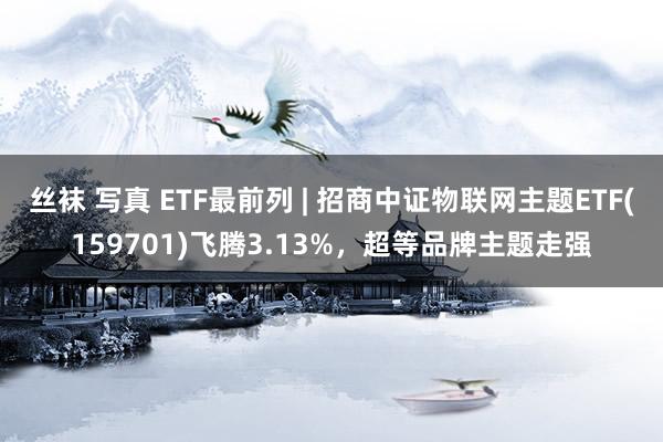 丝袜 写真 ETF最前列 | 招商中证物联网主题ETF(159701)飞腾3.13%，超等品牌主题走强