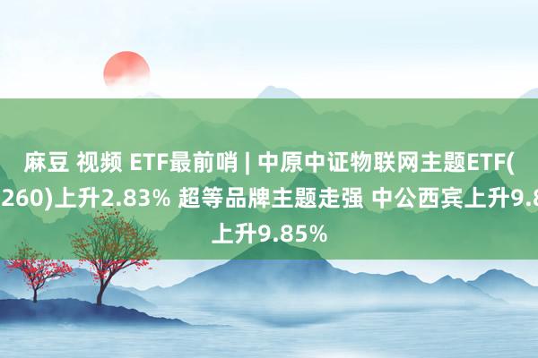 麻豆 视频 ETF最前哨 | 中原中证物联网主题ETF(516260)上升2.83% 超等品牌主题走强 中公西宾上升9.85%