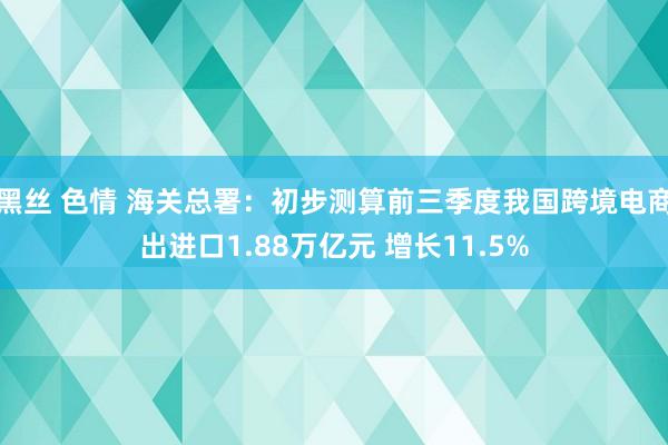 黑丝 色情 海关总署：初步测算前三季度我国跨境电商出进口1.88万亿元 增长11.5%