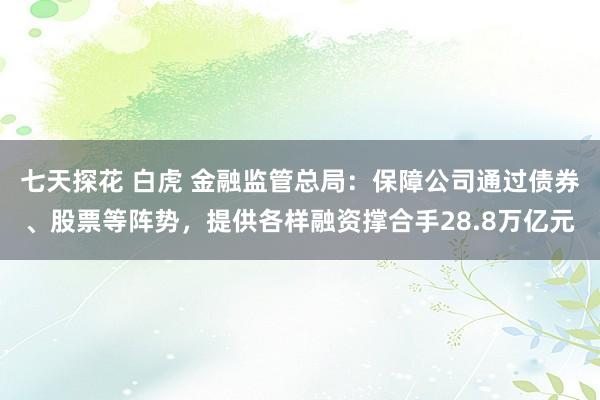 七天探花 白虎 金融监管总局：保障公司通过债券、股票等阵势，提供各样融资撑合手28.8万亿元