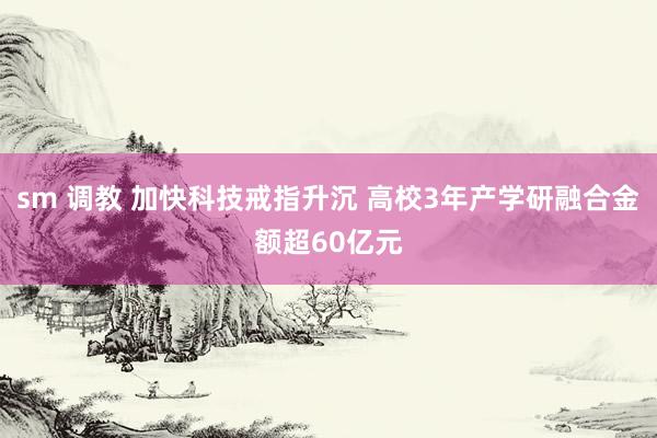 sm 调教 加快科技戒指升沉 高校3年产学研融合金额超60亿元