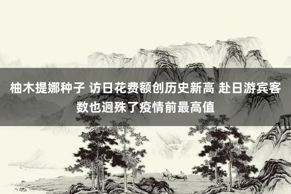 柚木提娜种子 访日花费额创历史新高 赴日游宾客数也迥殊了疫情前最高值