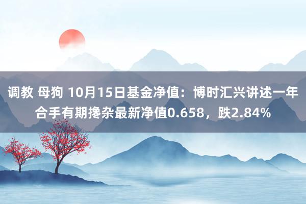 调教 母狗 10月15日基金净值：博时汇兴讲述一年合手有期搀杂最新净值0.658，跌2.84%