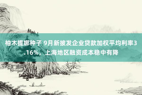 柚木提娜种子 9月新披发企业贷款加权平均利率3.16%，上海地区融资成本稳中有降