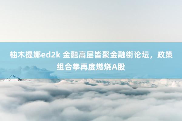 柚木提娜ed2k 金融高层皆聚金融街论坛，政策组合拳再度燃烧A股