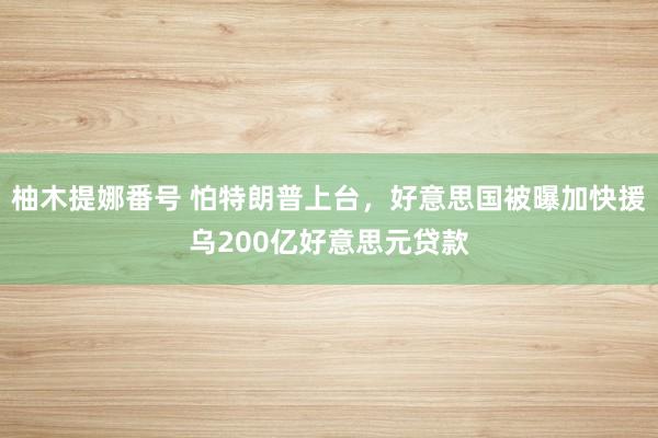 柚木提娜番号 怕特朗普上台，好意思国被曝加快援乌200亿好意思元贷款