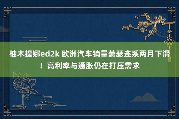 柚木提娜ed2k 欧洲汽车销量萧瑟连系两月下滑！高利率与通胀仍在打压需求