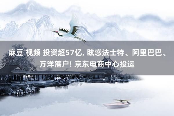 麻豆 视频 投资超57亿， 眩惑法士特、阿里巴巴、万洋落户! 京东电商中心投运