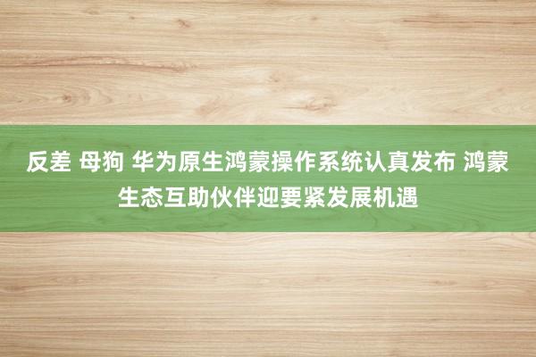 反差 母狗 华为原生鸿蒙操作系统认真发布 鸿蒙生态互助伙伴迎要紧发展机遇