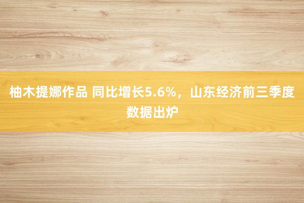 柚木提娜作品 同比增长5.6%，山东经济前三季度数据出炉