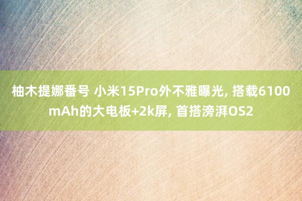 柚木提娜番号 小米15Pro外不雅曝光， 搭载6100mAh的大电板+2k屏， 首搭滂湃OS2